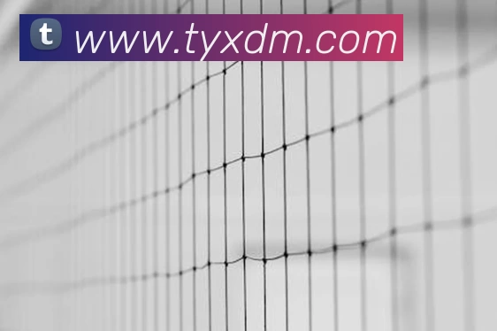 关于我们 - 买球官网·体育 - 买球官网（中国）